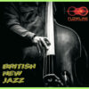 Zcela nový díl pořadu Flowline je tu! Poslechni si záznam. Kluci se tentokrát podívali na British New Jazz